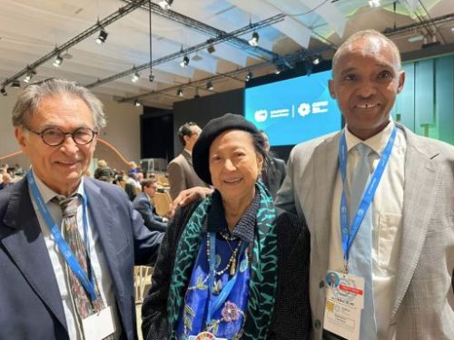 Viktor Sebek, Cecile Alvarez, and Ali Mohamed, Special Envoy on Climate Change from Kenya, posing together during COP29. They are standing in a conference hall with a large screen displaying the COP29 logo in the background.