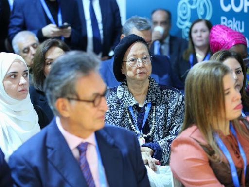 Cecile Alvarez, seated at the center, actively participating in a climate finance session at COP29 in Baku, surrounded by international delegates focused on advancing sustainable development initiatives.