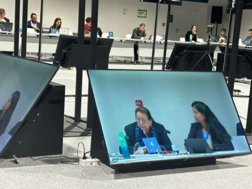 Image showing Cecile Alvarez and Dewy Sacayan participating in a COP29 side event, discussing the relationship between forests and climate change, as displayed on a conference screen